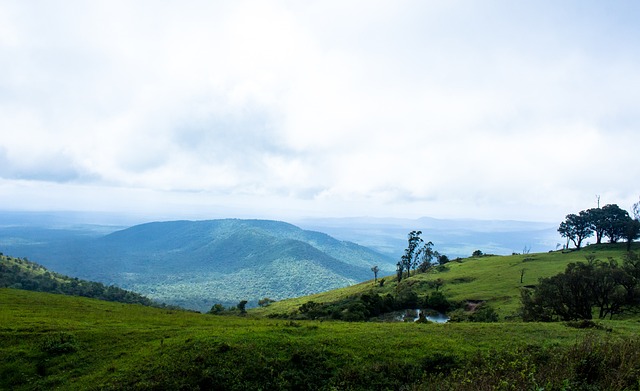 其中有男女 其中有男女