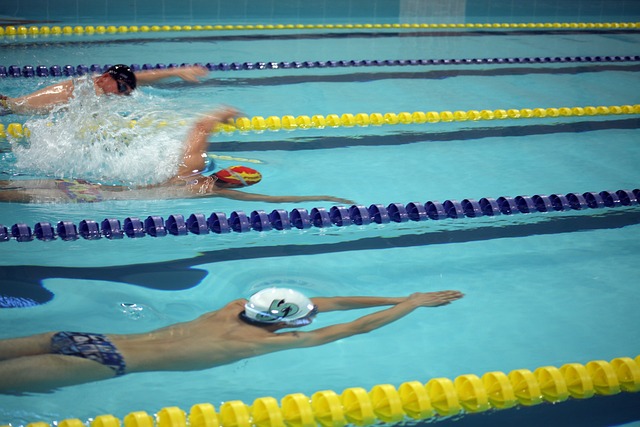 这样的运动 这样的运动