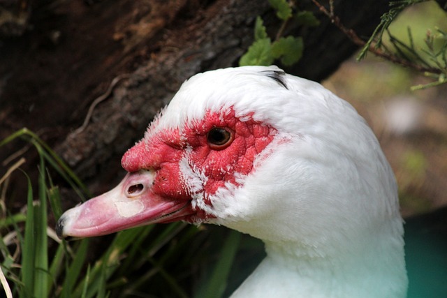 精神的再度 精神的再度