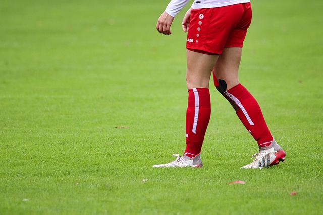 新人培养 新人培养