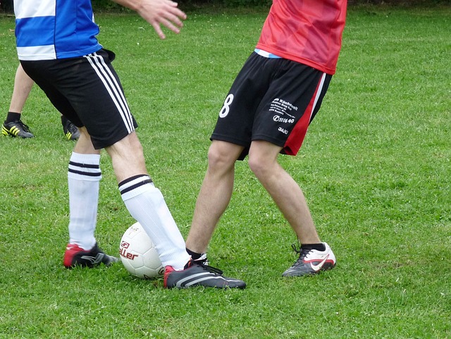 金州勇士队 金州勇士队