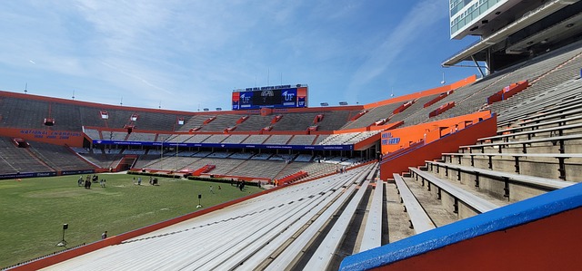 在比赛伊始 在比赛伊始